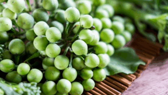 Fresh Turkey Berry - Abeduru - Abada - Ghana  200g